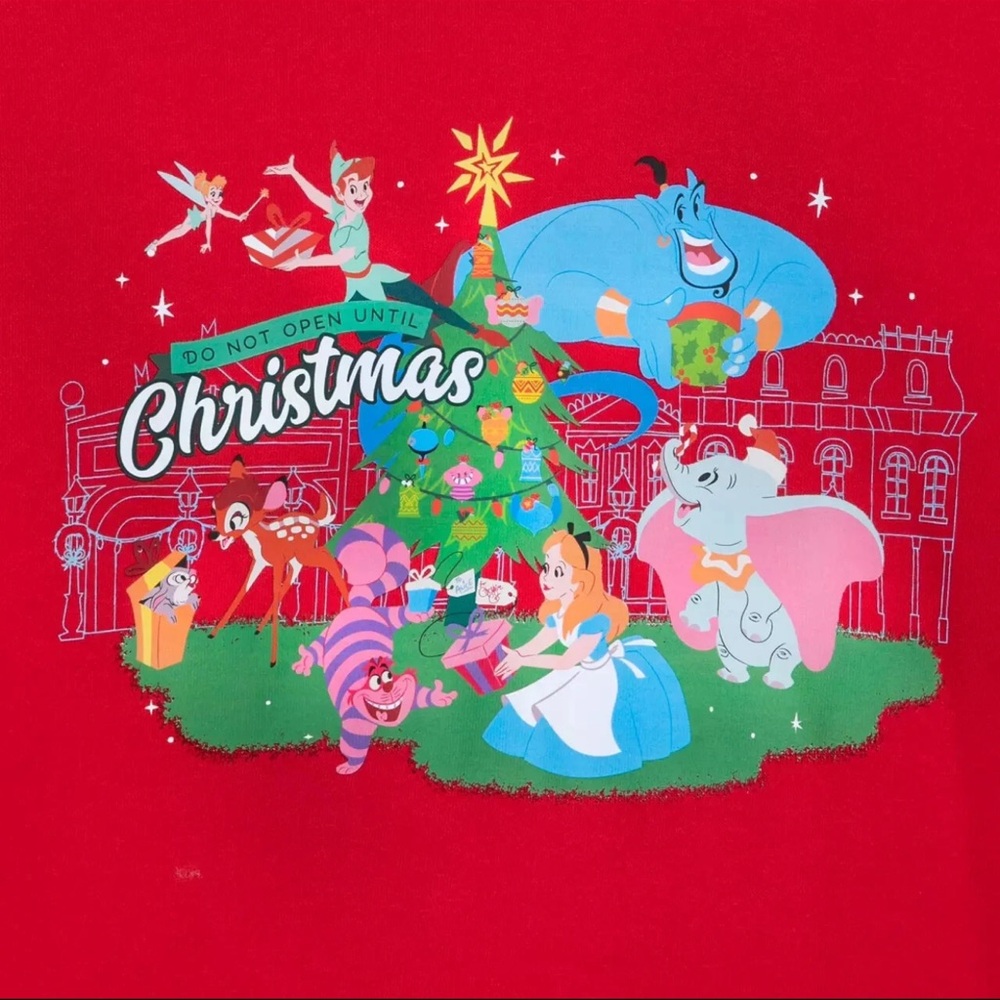 Disney Parks Do Not Open Until Christmas Hoodie, XL Unisex Sweatshirt, Pullover